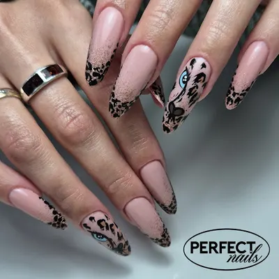 Stylizacja Paznokci Perfect Nails Wanda Pawłowska